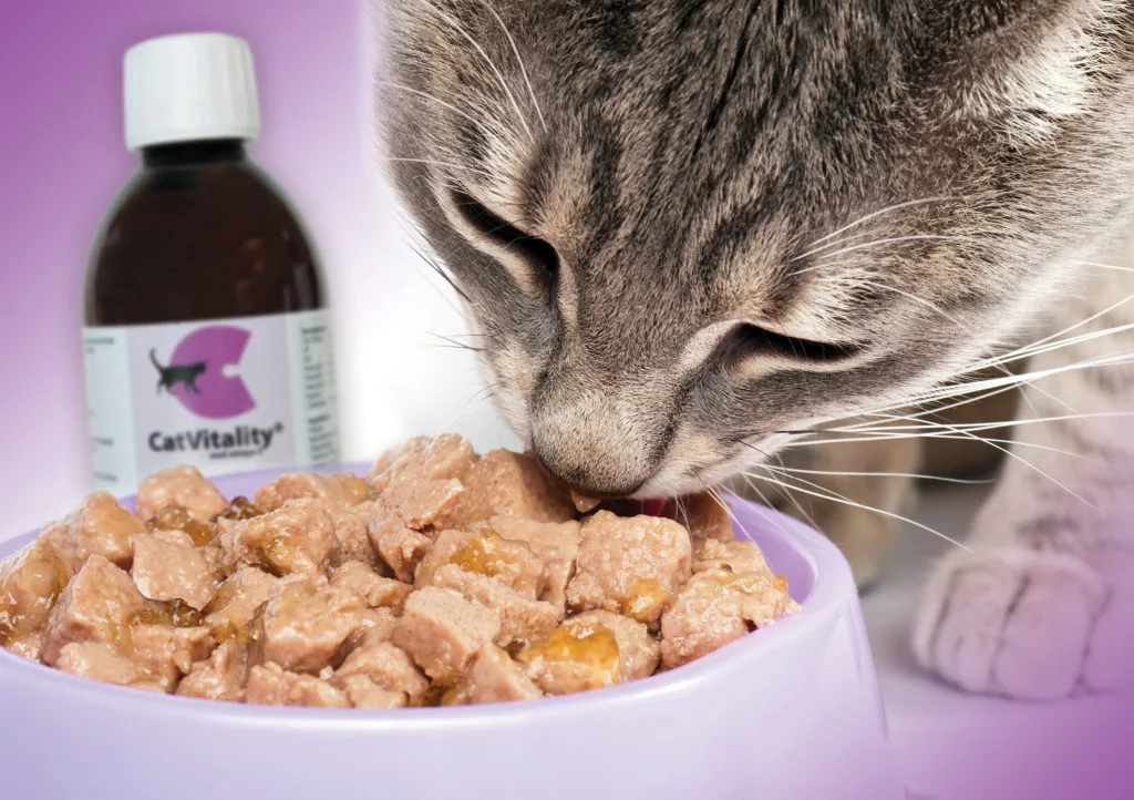 Katt som spiser fra matskålen, med CatVitality ved siden av