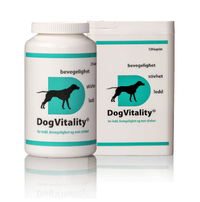 DogVitality® for mage og tarm
